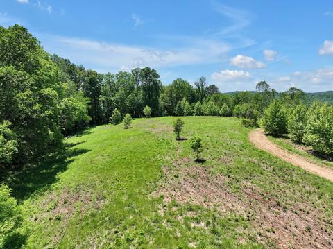 660 Rogues Fork Rd, Bethpage, TN 37022 photo 5