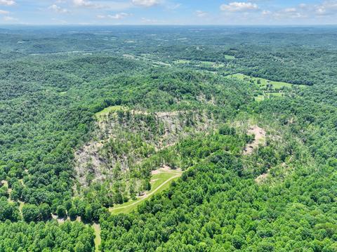 660 Rogues Fork Rd, Bethpage, TN 37022 photo 31