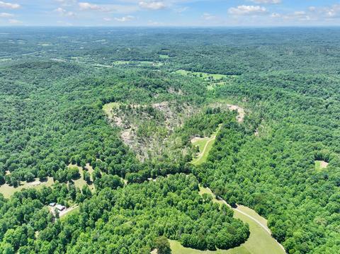 660 Rogues Fork Rd, Bethpage, TN 37022 photo 55