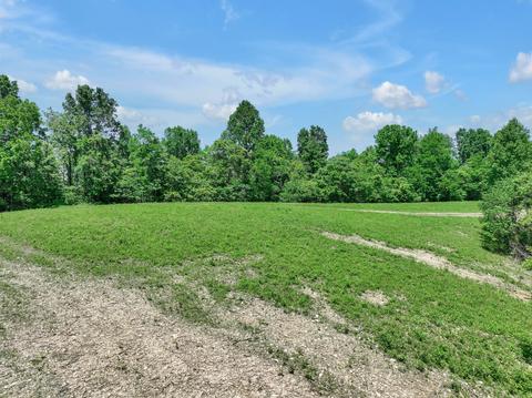 660 Rogues Fork Rd, Bethpage, TN 37022 photo 49