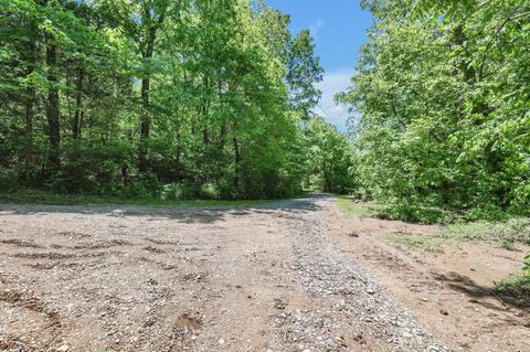 660 Rogues Fork Rd, Bethpage, TN 37022 photo 27