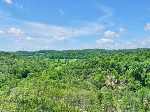 660 Rogues Fork Rd, Bethpage, TN 37022 photo 41