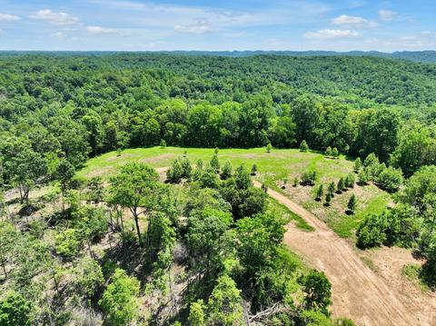 660 Rogues Fork Rd, Bethpage, TN 37022 photo 45