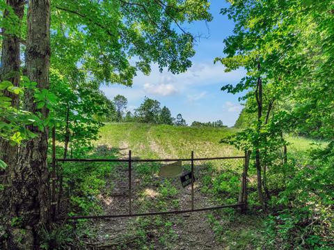 660 Rogues Fork Rd, Bethpage, TN 37022 photo 48
