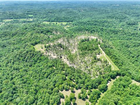 660 Rogues Fork Rd, Bethpage, TN 37022 photo 30