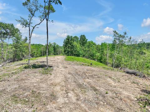 660 Rogues Fork Rd, Bethpage, TN 37022 photo 40