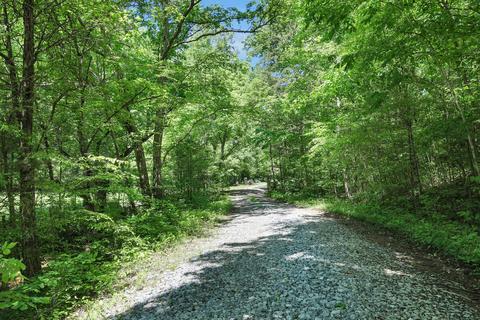 660 Rogues Fork Rd, Bethpage, TN 37022 photo 52