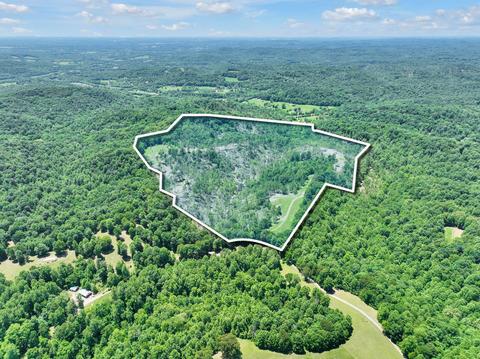 660 Rogues Fork Rd, Bethpage, TN 37022 photo 4