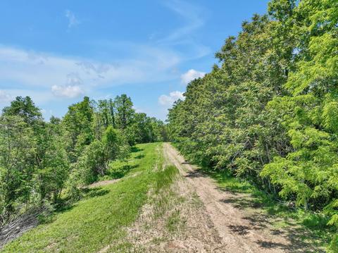 660 Rogues Fork Rd, Bethpage, TN 37022 photo 51