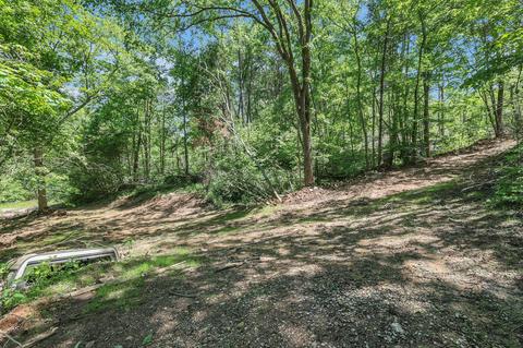 660 Rogues Fork Rd, Bethpage, TN 37022 photo 24