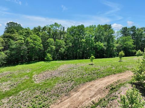 660 Rogues Fork Rd, Bethpage, TN 37022 photo 8