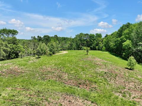 660 Rogues Fork Rd, Bethpage, TN 37022 photo 7