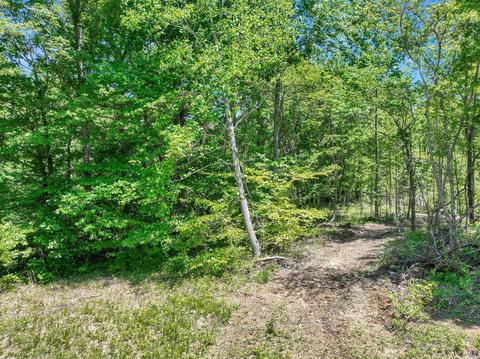 660 Rogues Fork Rd, Bethpage, TN 37022 photo 34