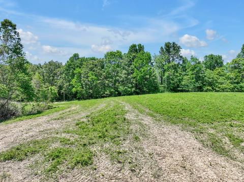 660 Rogues Fork Rd, Bethpage, TN 37022 photo 50