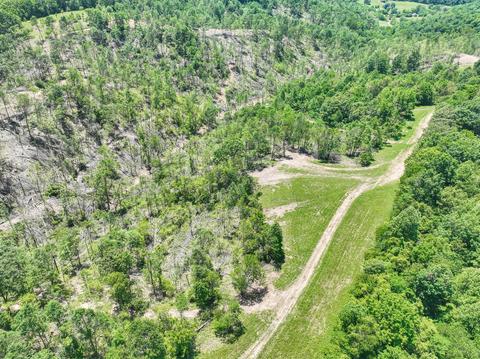 660 Rogues Fork Rd, Bethpage, TN 37022 photo 32