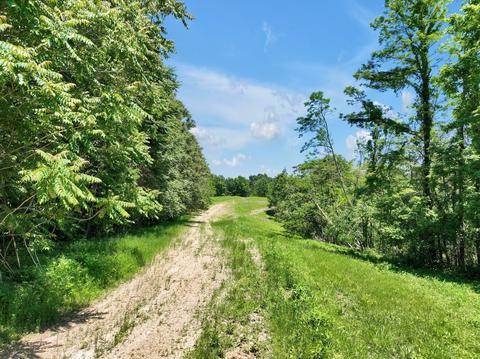 660 Rogues Fork Rd, Bethpage, TN 37022 photo 35