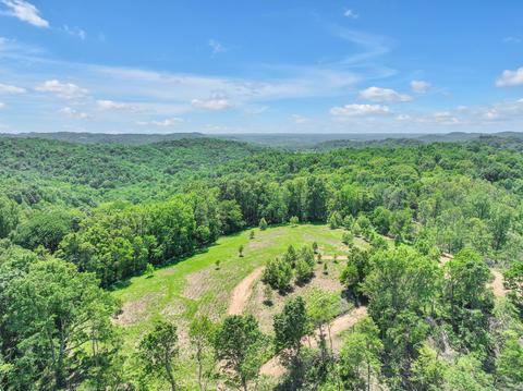 660 Rogues Fork Rd, Bethpage, TN 37022 photo 46