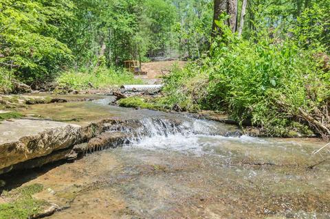 660 Rogues Fork Rd, Bethpage, TN 37022 photo 3