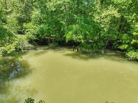 660 Rogues Fork Rd, Bethpage, TN 37022 photo 33
