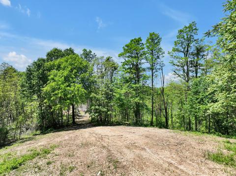 660 Rogues Fork Rd, Bethpage, TN 37022 photo 36