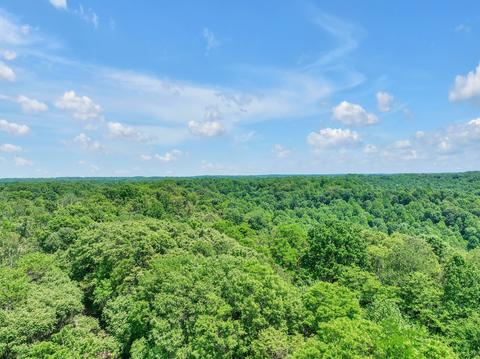 660 Rogues Fork Rd, Bethpage, TN 37022 photo 44