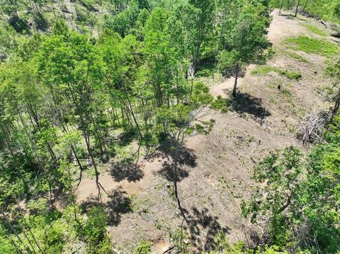 660 Rogues Fork Rd, Bethpage, TN 37022 photo 37