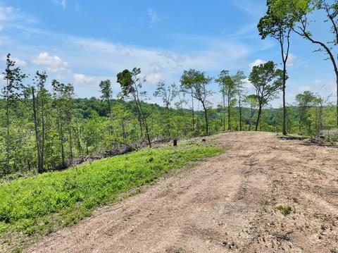 660 Rogues Fork Rd, Bethpage, TN 37022 photo 39