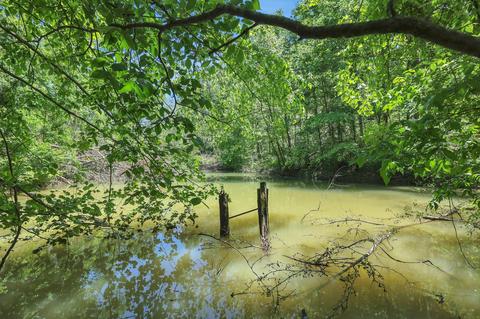 660 Rogues Fork Rd, Bethpage, TN 37022 photo 26