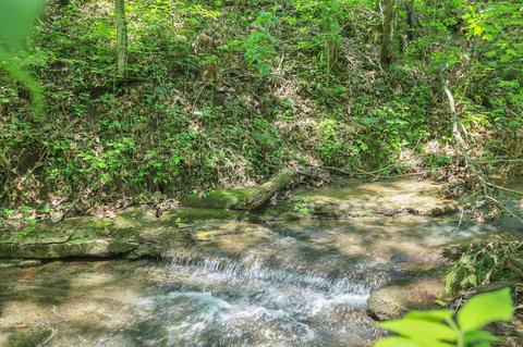 660 Rogues Fork Rd, Bethpage, TN 37022 photo 2