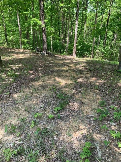0 N Wood Dr, Nunnelly, TN 37137