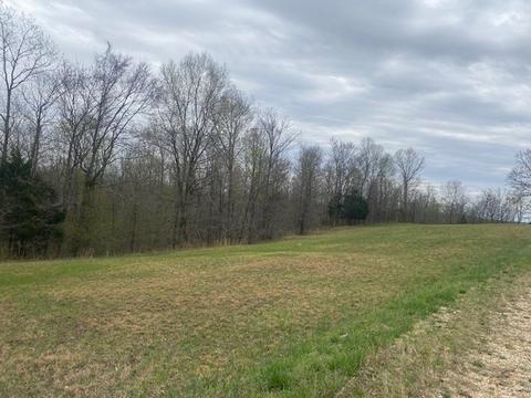 3217 Jack Saunders Rd, Waverly, TN 37185