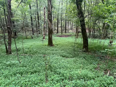 1360 Case Rd, Prospect, TN 38477 photo 7