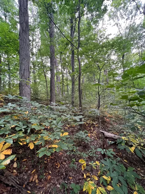 1360 Case Rd, Prospect, TN 38477 photo 21