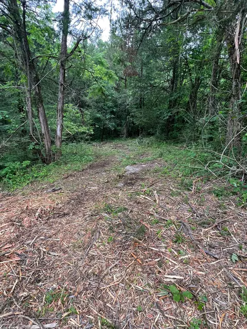 1360 Case Rd, Prospect, TN 38477 photo 6