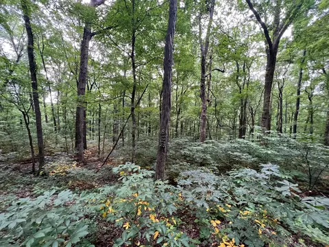1360 Case Rd, Prospect, TN 38477 photo 22