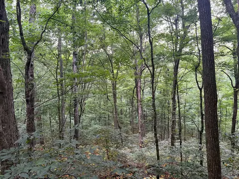 1360 Case Rd, Prospect, TN 38477 photo 19
