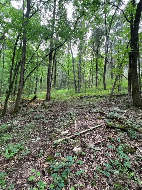 1360 Case Rd, Prospect, TN 38477 photo 31