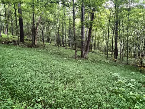 1360 Case Rd, Prospect, TN 38477 photo 11