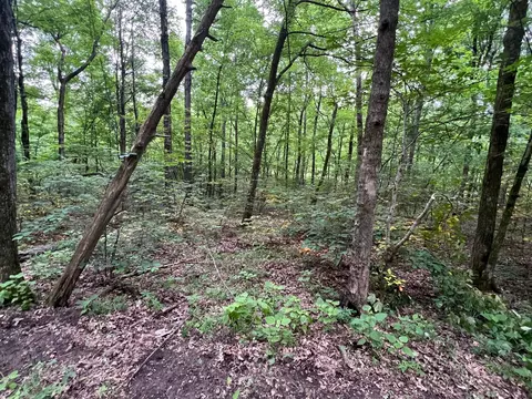 1360 Case Rd, Prospect, TN 38477 photo 16