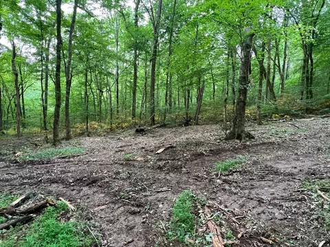 1360 Case Rd, Prospect, TN 38477