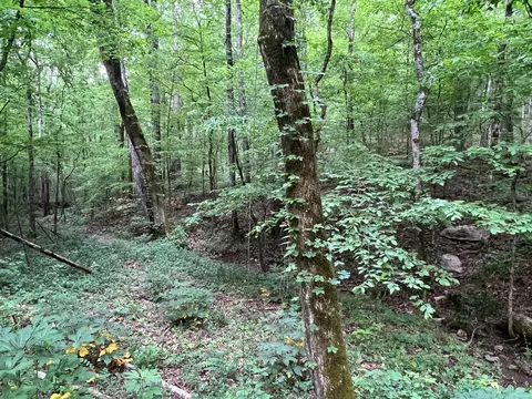 1360 Case Rd, Prospect, TN 38477 photo 32