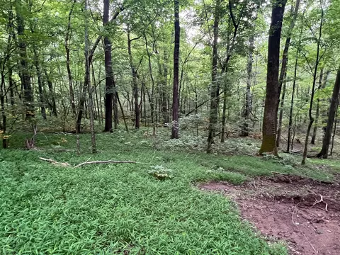 1360 Case Rd, Prospect, TN 38477 photo 26