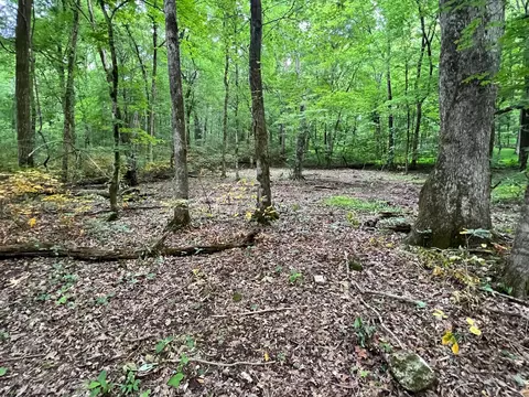 1360 Case Rd, Prospect, TN 38477 photo 14