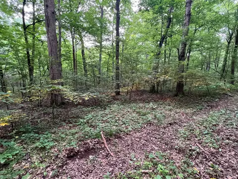 1360 Case Rd, Prospect, TN 38477 photo 15