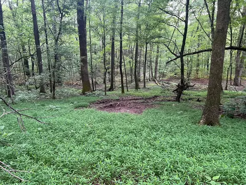 1360 Case Rd, Prospect, TN 38477 photo 24