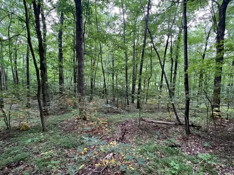 1360 Case Rd, Prospect, TN 38477 photo 17