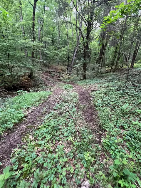 1360 Case Rd, Prospect, TN 38477 photo 8