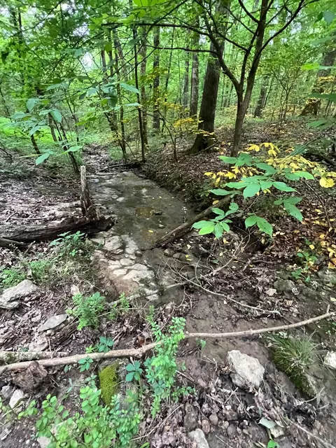 1360 Case Rd, Prospect, TN 38477 photo 9