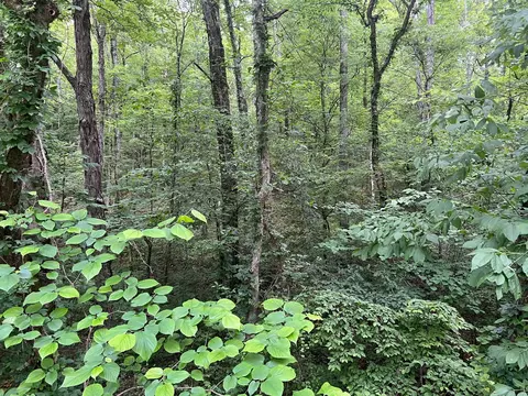 1360 Case Rd, Prospect, TN 38477 photo 25