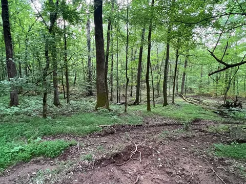 1360 Case Rd, Prospect, TN 38477 photo 27